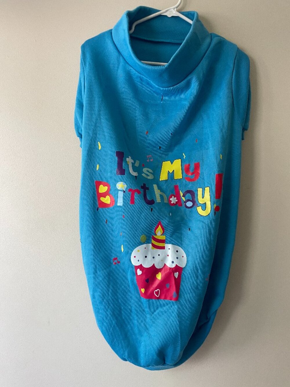 Blue “It’s My Birthday” Dog Costume